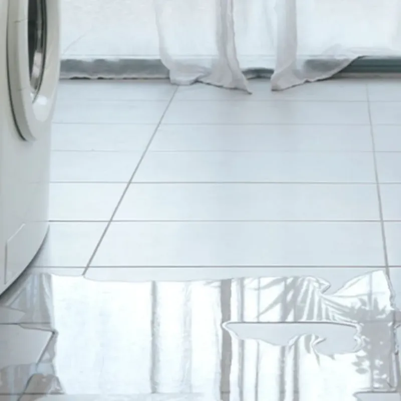 Appliance Leak Cleanup in Wharton County, TX