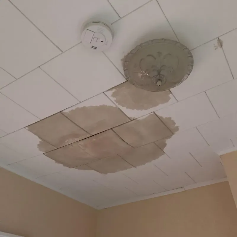 Ceiling Water Damage Repair in Wharton County, TX