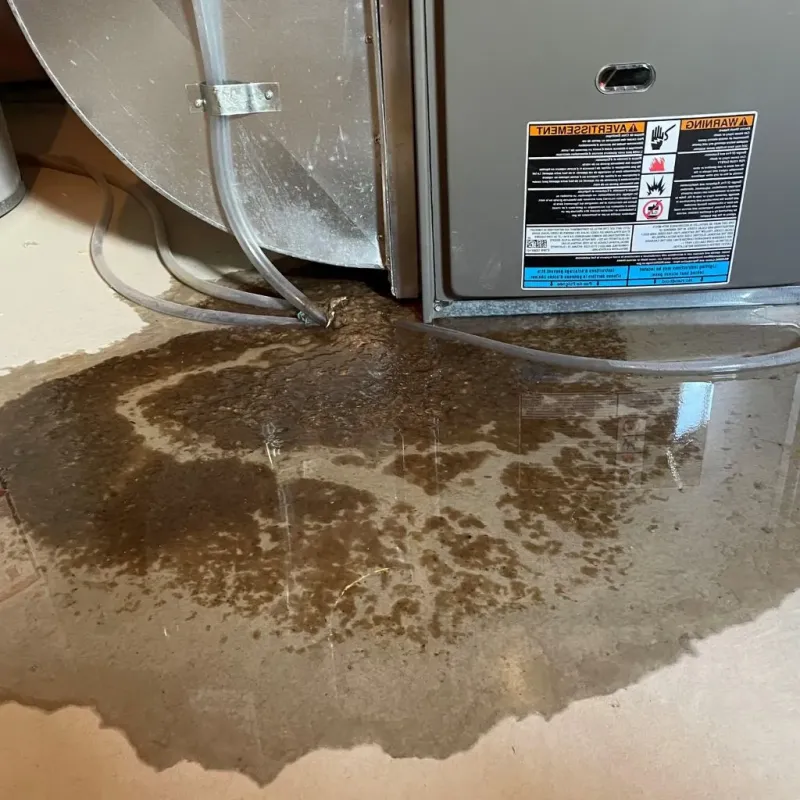 Pipe Burst and Leak Restoration in Wharton County, TX