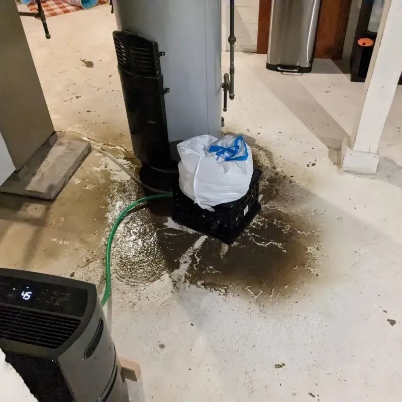 Sewage Backup Cleanup Service in Wharton County, TX